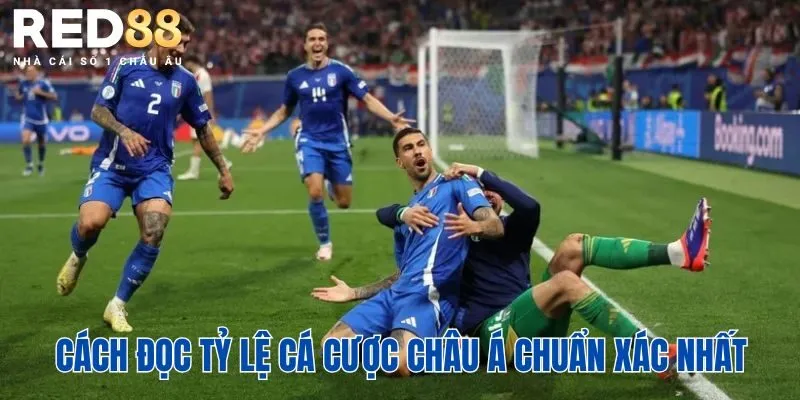 Cách đọc tỷ lệ cá cược châu Á chuẩn xác nhất