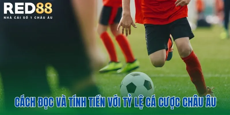 Cách đọc và tính tiền với tỷ lệ cá cược châu Âu