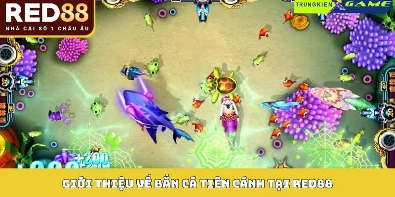 Giới thiệu về bắn cá tiên cánh tại RED88