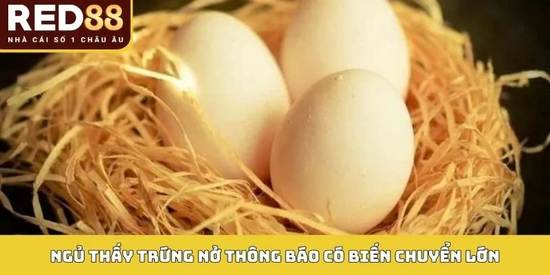 Ngủ thấy trứng nở thông báo có biến chuyển lớn