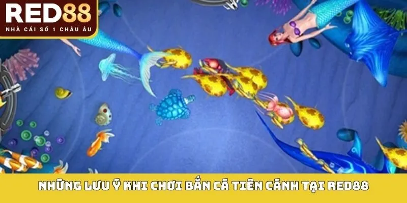 Những lưu ý khi chơi bắn cá tiên cánh tại RED88