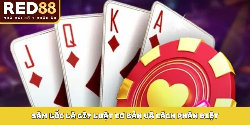 Sâm lốc là gì? Luật cơ bản và cách phân biệt