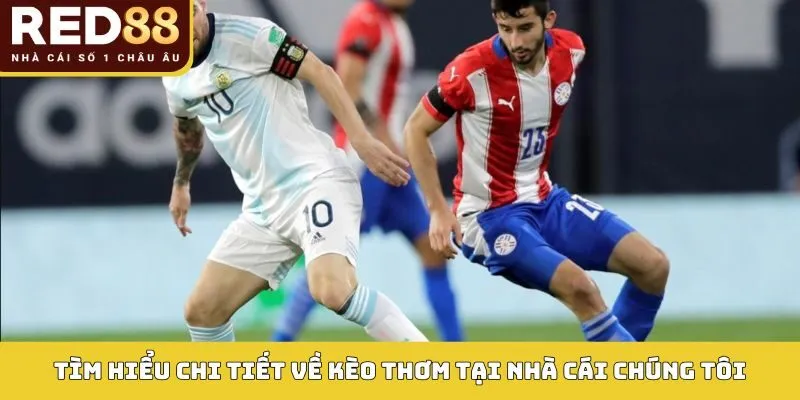 Tìm hiểu chi tiết về kèo thơm tại nhà cái chúng tôi