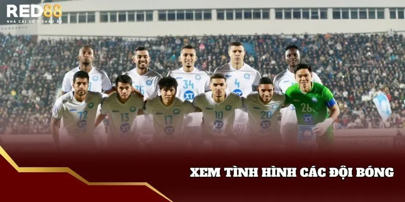 Xem tình hình các đội
