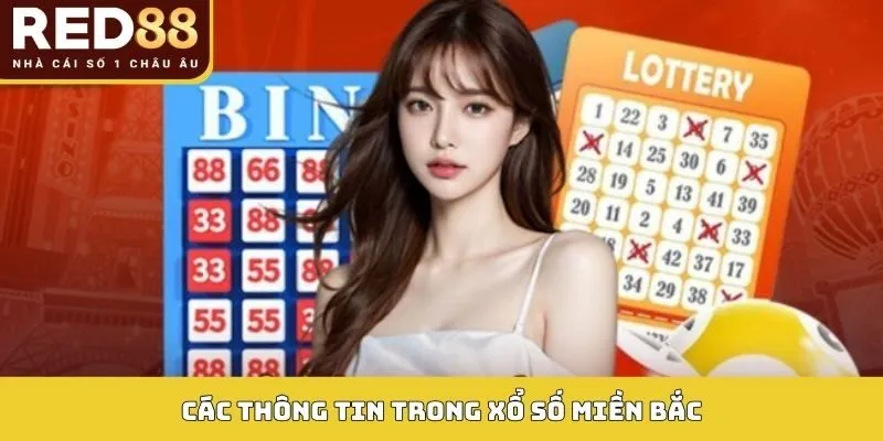 Các thông tin trong xổ số miền Bắc